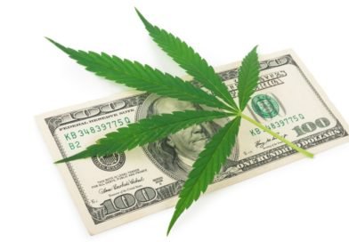 Cannabis Crowdfunding
