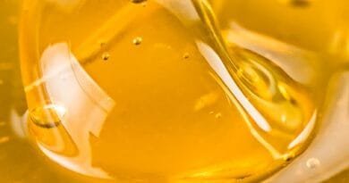 US Cannabis Extracts Markets