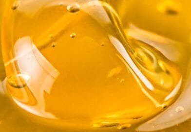 US Cannabis Extracts Markets