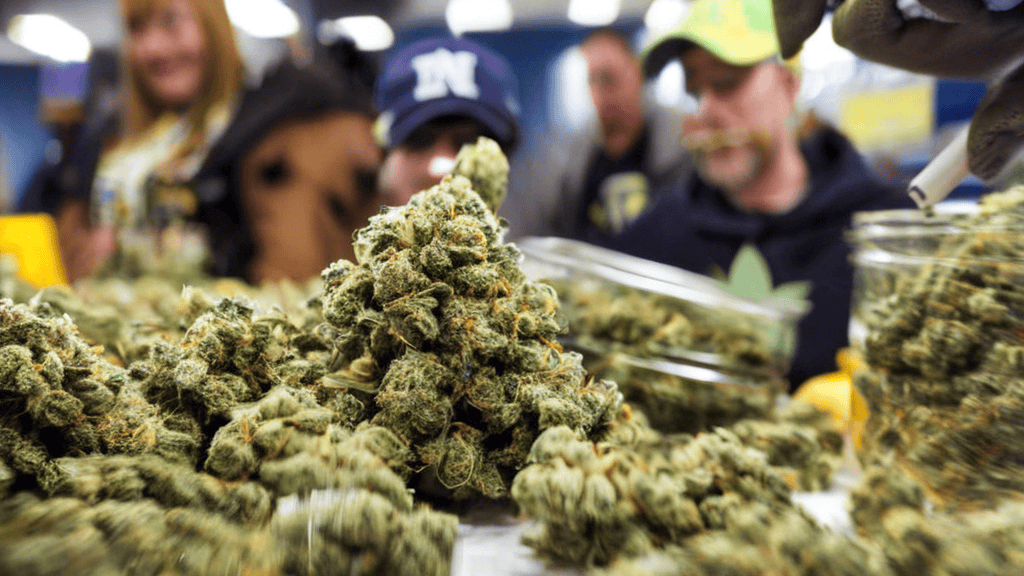 Michigan Sets Record with Marijuana Sales Outpacing California