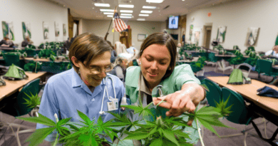 North Carolina Senate Takes Major Step Toward Legalizing Medical Cannabis