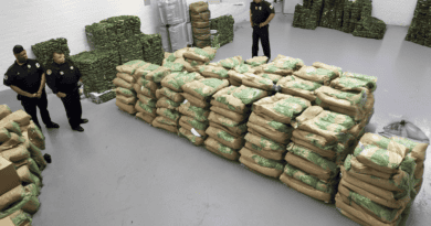 Authorities Seize $10 Million in Illegal Cannabis Products in Major Bronx Bust