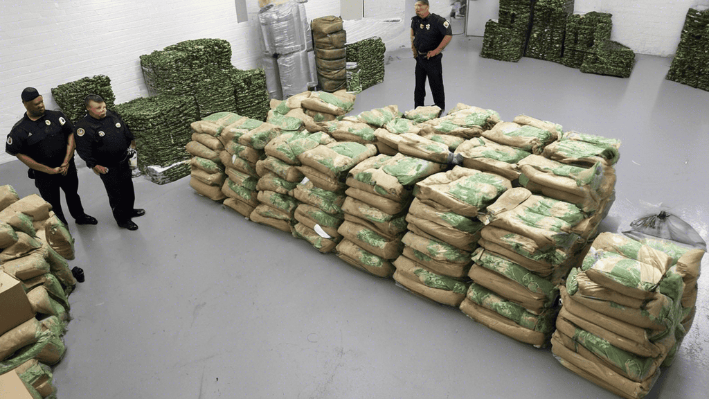 Authorities Seize $10 Million in Illegal Cannabis Products in Major Bronx Bust