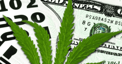 IRS Reiterates Stance on Marijuana Business Deductions Under Section 280E