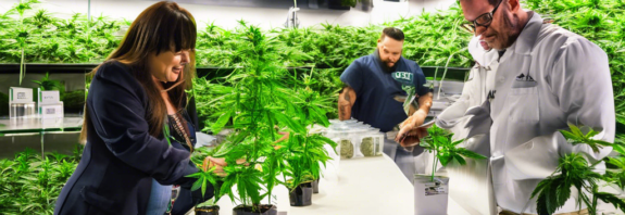 New York State's Cannabis Industry Reaches New Milestones with 150th Dispensary and $421.2 Million in Sales