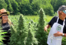 Eastern Band of Cherokee Indians Launches Historic Adult-Use Cannabis Sales in North Carolina