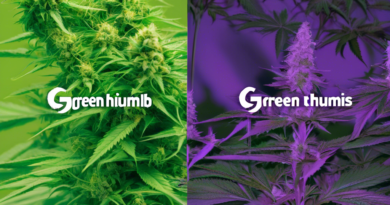 Green Thumb Industries Inc. Secures Historic $150 Million Credit Facility, Setting Precedent in U.S. Cannabis Industry