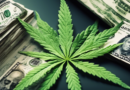 Debt and Regulatory Challenges in the Cannabis Industry: Navigating Financial Obstacles and Legal Uncertainties