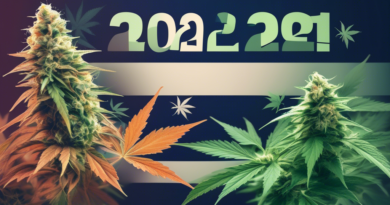 2024 State Elections Spotlight: Mixed Results and Ongoing Challenges in Cannabis Legalization