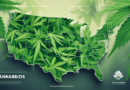 Ohio's Cannabis Market: A Booming Industry Facing Regulatory and Competitive Challenges