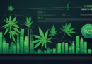 Projected Explosive Growth and Regulatory Developments in New York's Cannabis Market