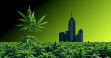 The Dark Side of Legal Cannabis: How Corporate Greed is Threatening the Industry's Integrity