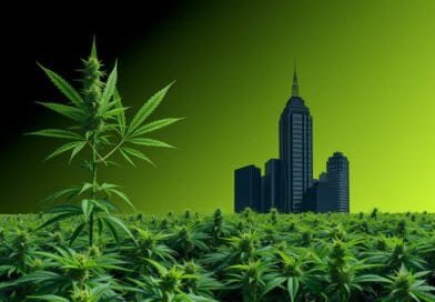The Dark Side of Legal Cannabis: How Corporate Greed is Threatening the Industry's Integrity