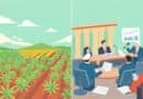 The Truth Unveiled: An In-Depth Exploration of the Legal Cannabis Debate