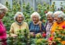 Unexpected Highs: Grandmas Explore the World of Cannabis for the First Time